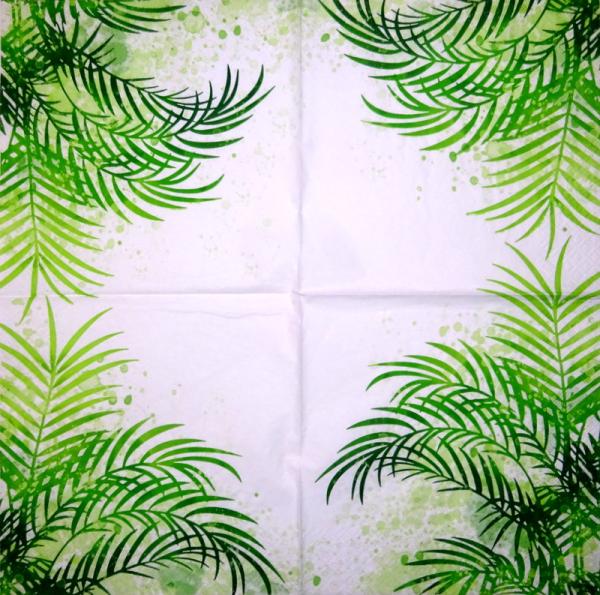 001 Pflanzen - 3 lagig - Molca